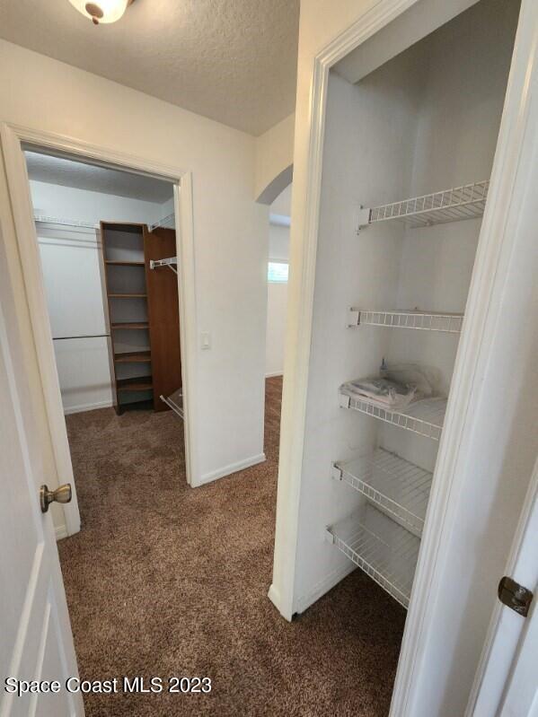 2004 Gloria Circle Palm Bay, FL 32905 - Photo 31 of 54 a view of walk in closet
