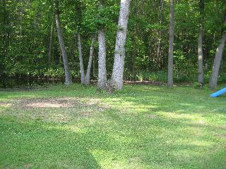 5437 Teal Road Petersburg, MI 49270 - Photo 3 of 8 542422-2.JPG