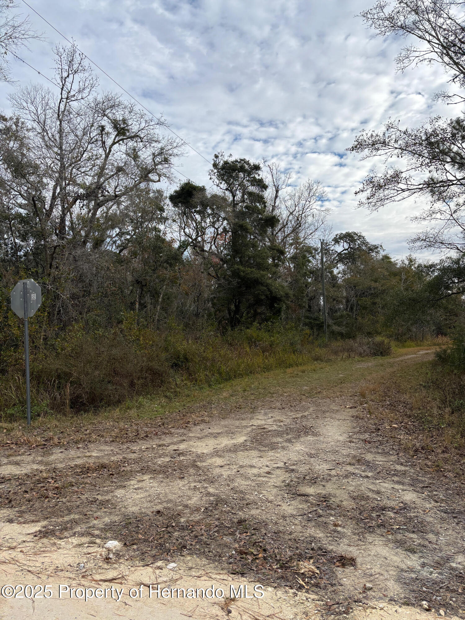 Lot 1 Carolina Dove Road Weeki Wachee, FL 34614 - Photo 3 of 6