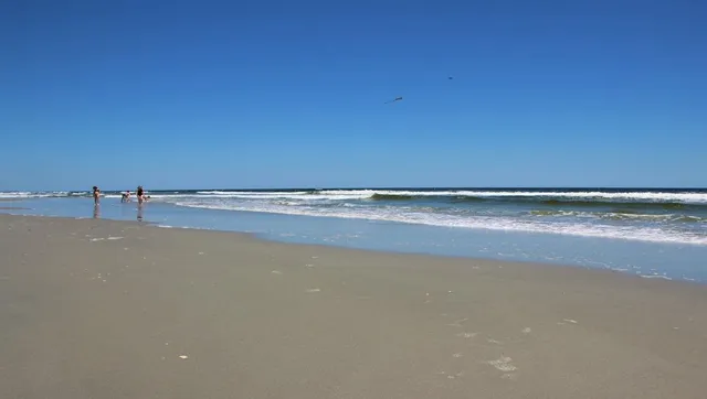 $439,545 | 221 Blueberry Fields, Loris, SC 29569