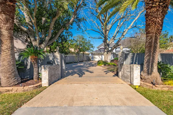 a view of a backyard with a large tree