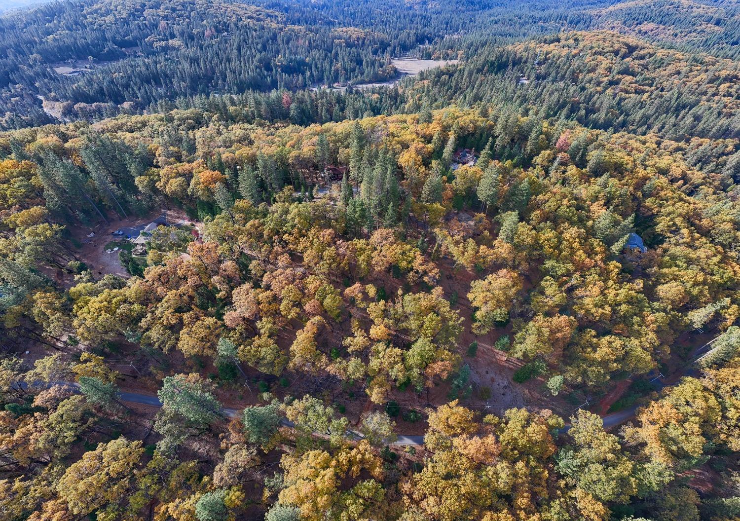 14008 Sontag Hill Road Grass Valley, CA 95945 - Photo 7 of 12