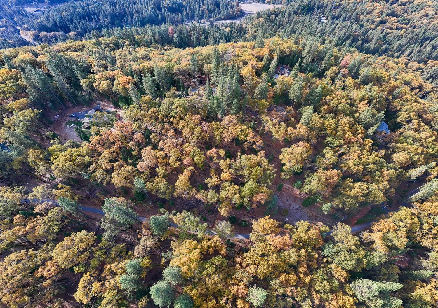 14008 Sontag Hill Road Grass Valley, CA 95945 - Photo 8 of 12