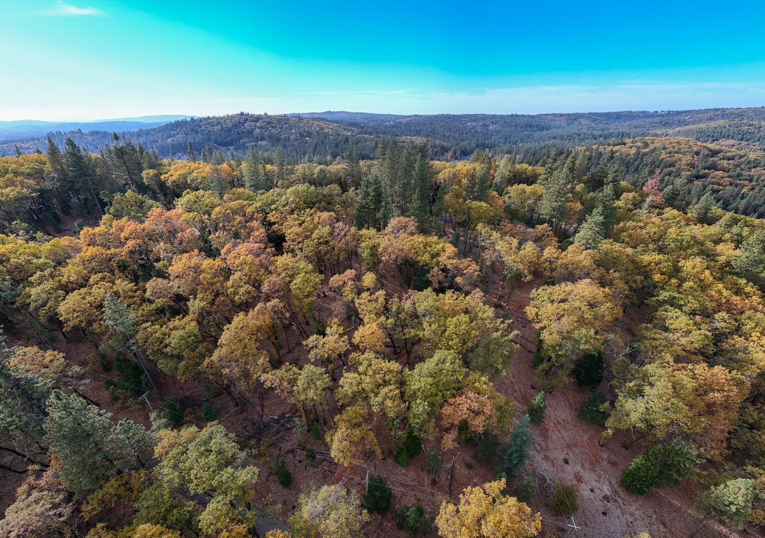 14008 Sontag Hill Road Grass Valley, CA 95945 - Photo 10 of 12