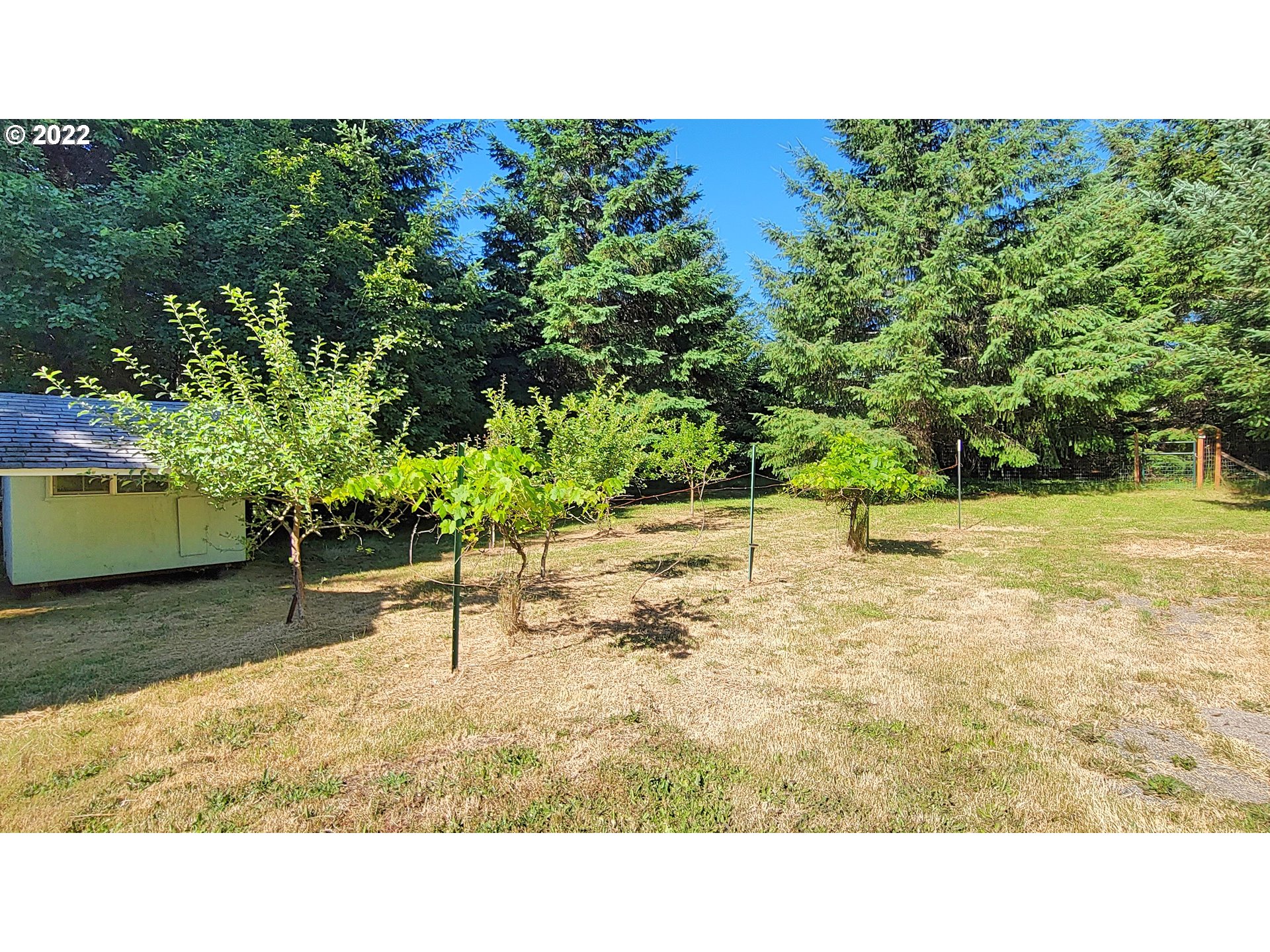 40180 Log Creek Road Marcola, OR 97454 - Photo 18 of 26 Shed