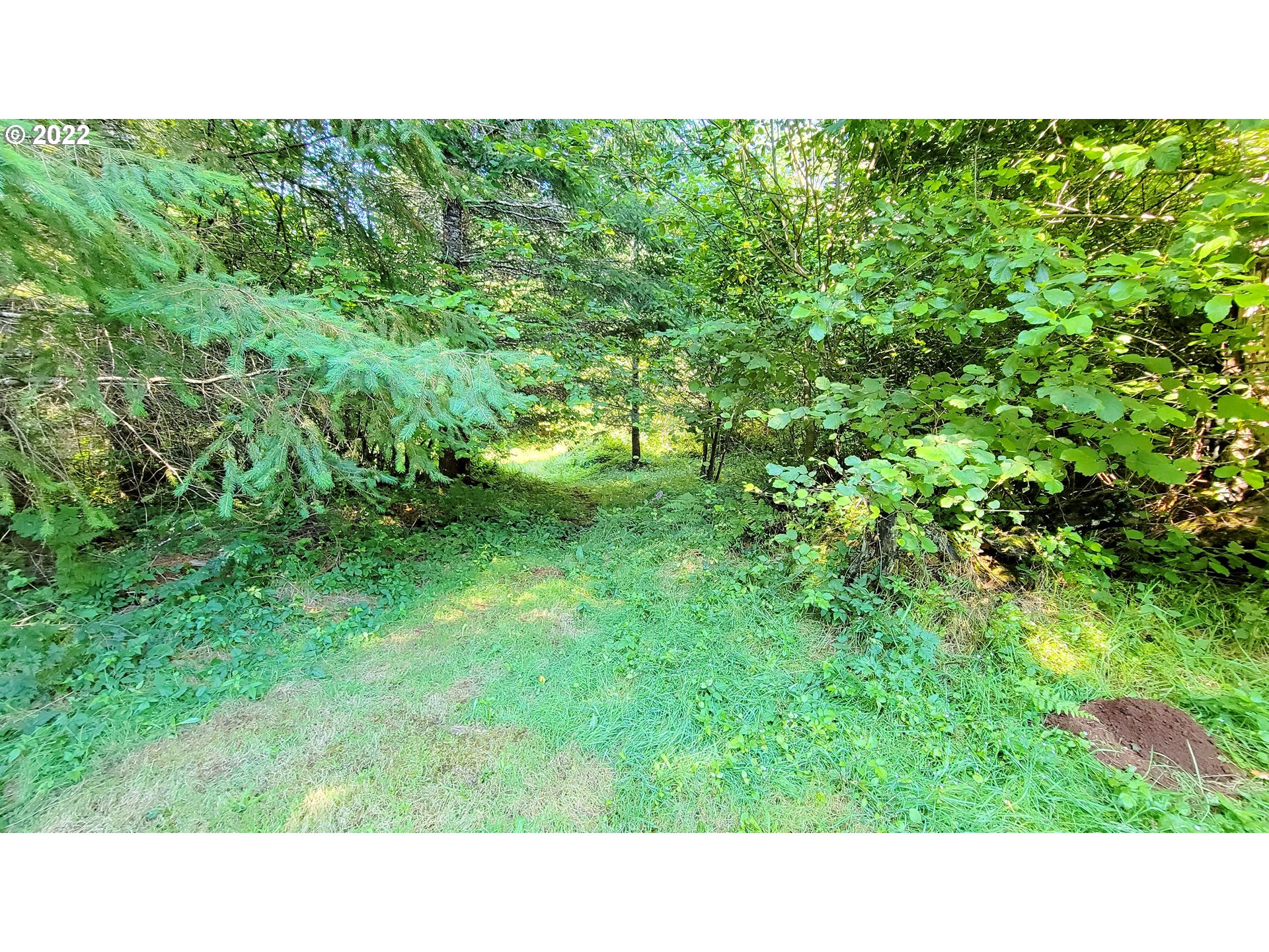 40180 Log Creek Road Marcola, OR 97454 - Photo 26 of 26 Gallery Image 26