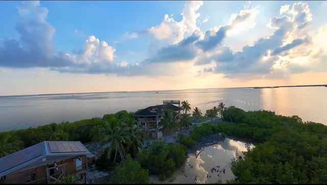 a view of a lake and a yard