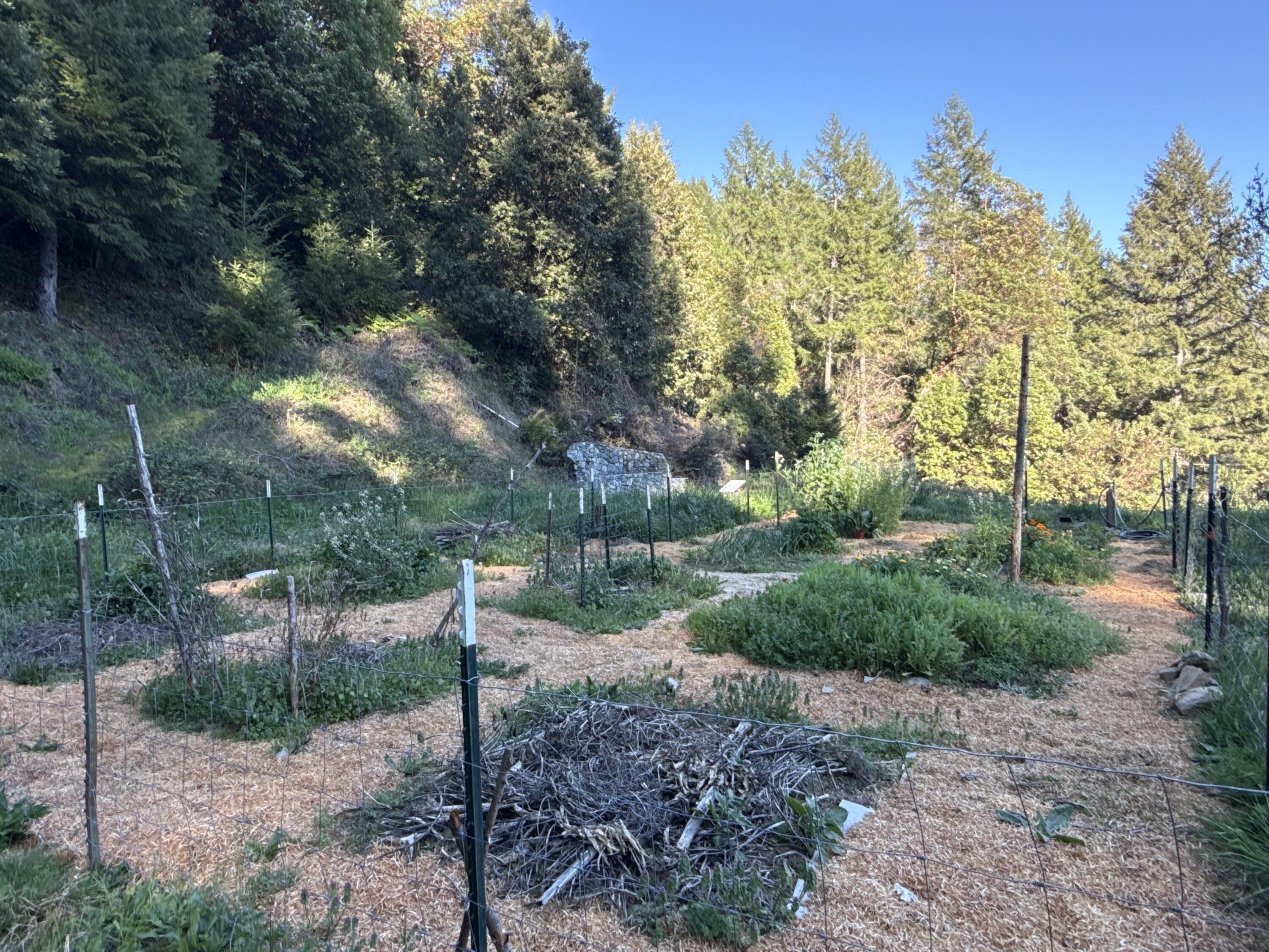 787 Owl Mine Road Orleans, CA 95556 - Photo 37 of 50