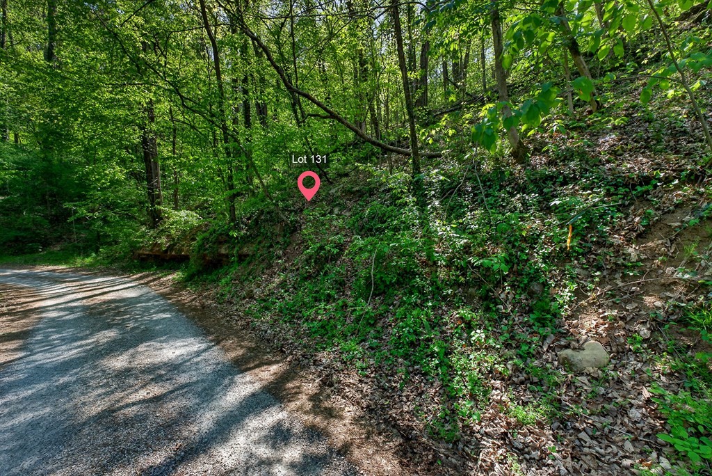 588 Austin Bottom Road Baxter, TN 38544 - Photo 13 of 15 Gallery Image 13