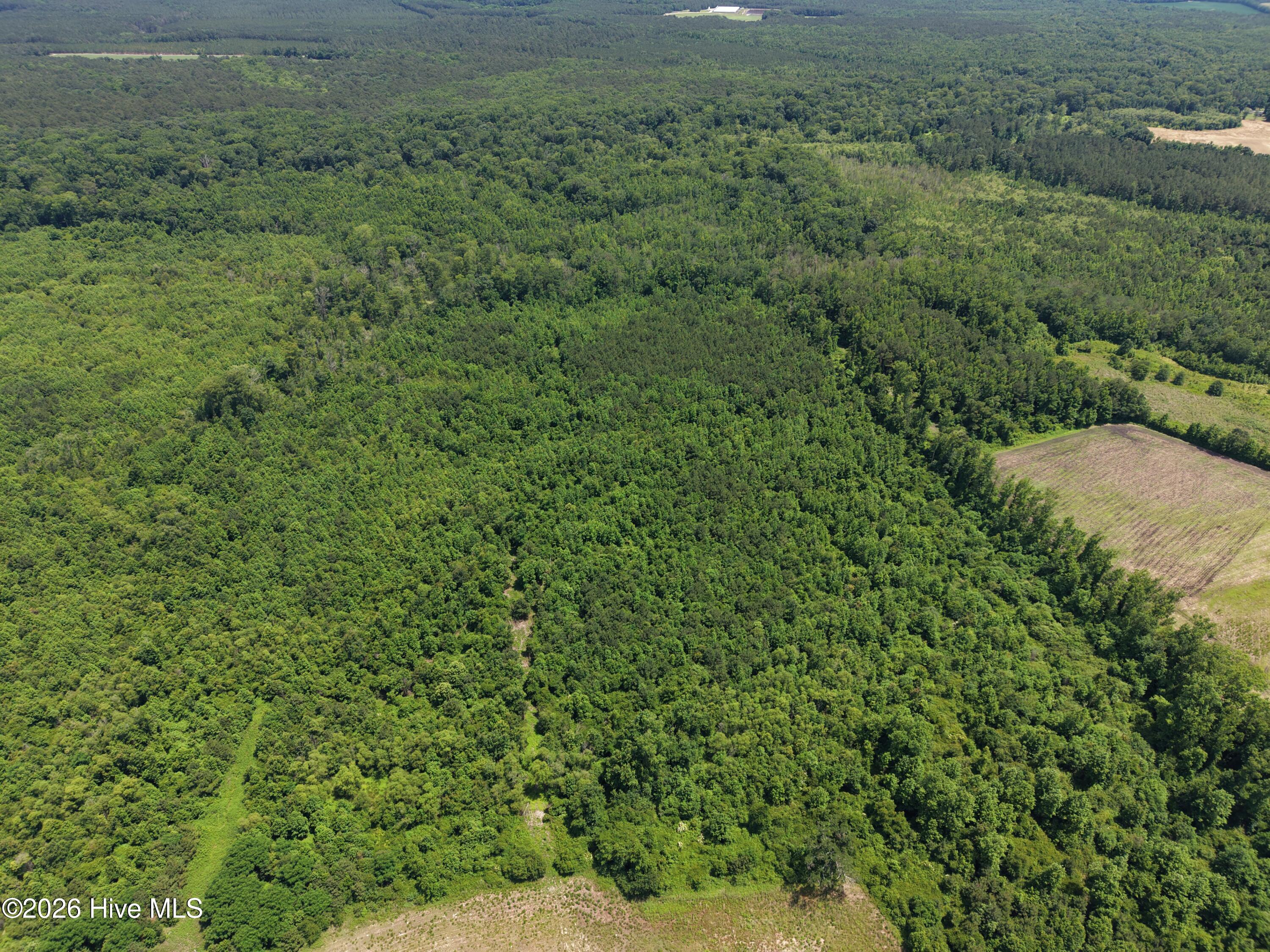 Lot 2 Bass Lake Road Clinton, NC 28328 - Photo 11 of 13