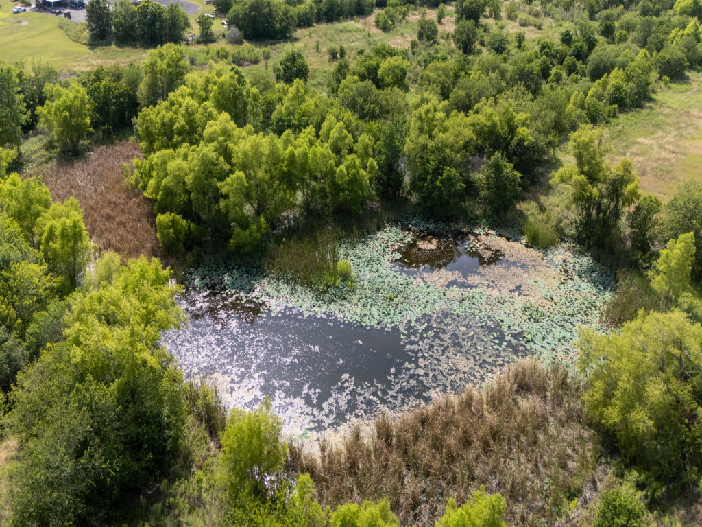 1035 Palomino Road Kyle, TX 78640 - Photo 11 of 13 A tranquil pond adorned with water lilies, nestled within lush natural surroundings, awaits development.