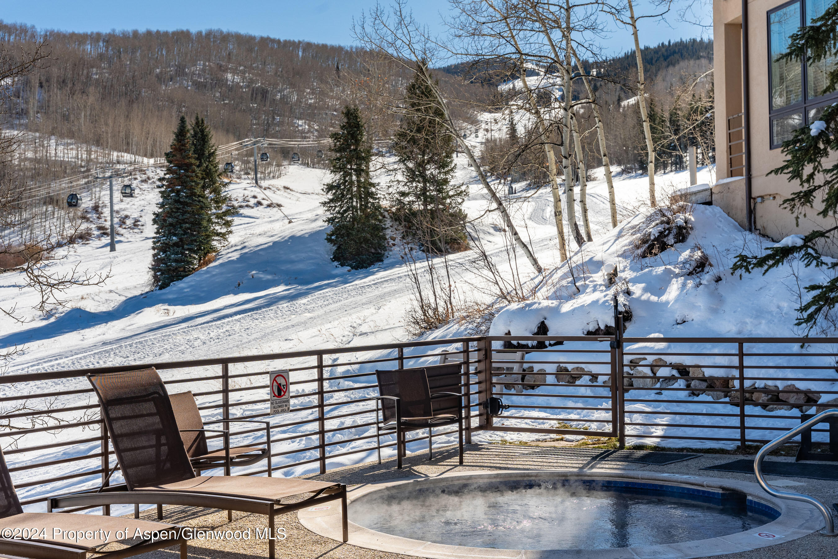 476 Wood Road, Unit 41 Snowmass Village, CO 81615 - Photo 21 of 29 Slopeside Hot Tub