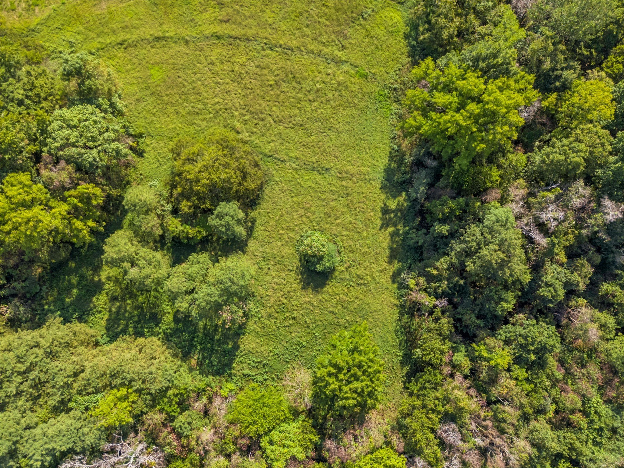 0 Bethesda-Arno Road Thompson's Station, TN 37179 - Photo 7 of 78