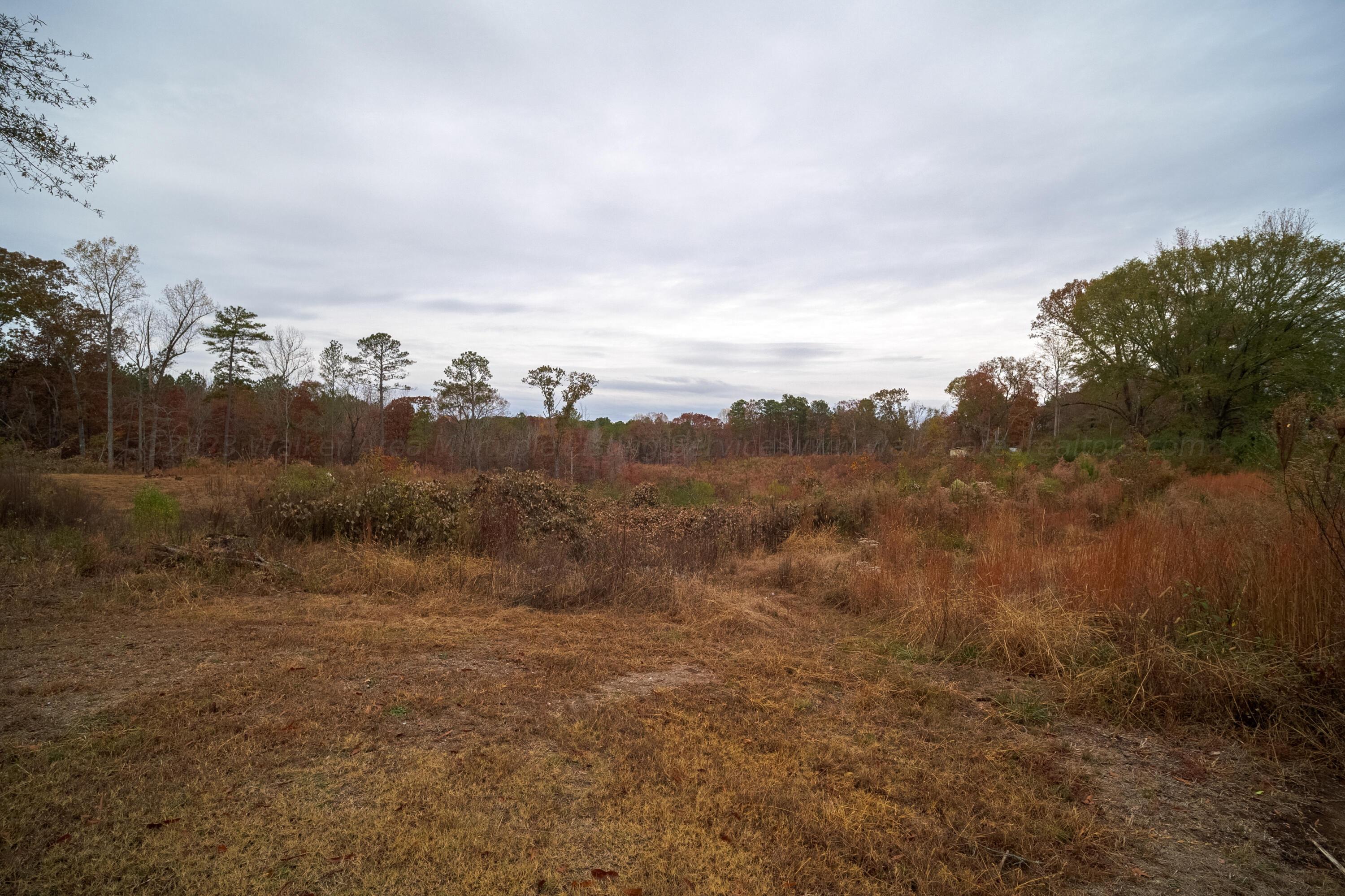3095 Coon Creek Road Empire, AL 35063 - Photo 4 of 19 Gallery Image 4