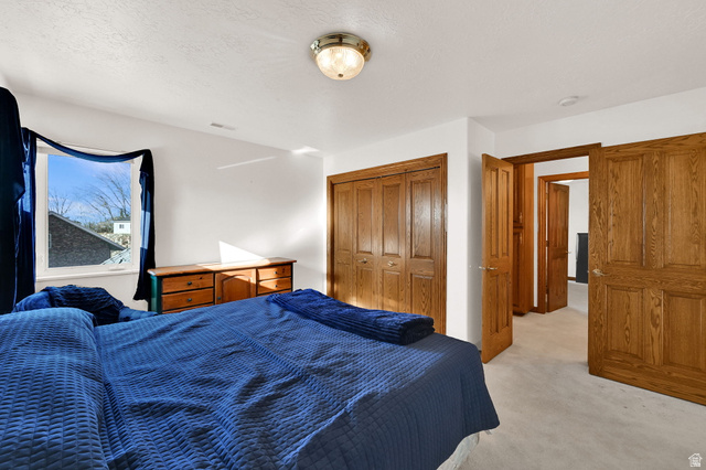 1085 Windsor Drive Provo, UT 84604 - Photo 49 of 83 Bedroom featuring light colored carpet and a closet