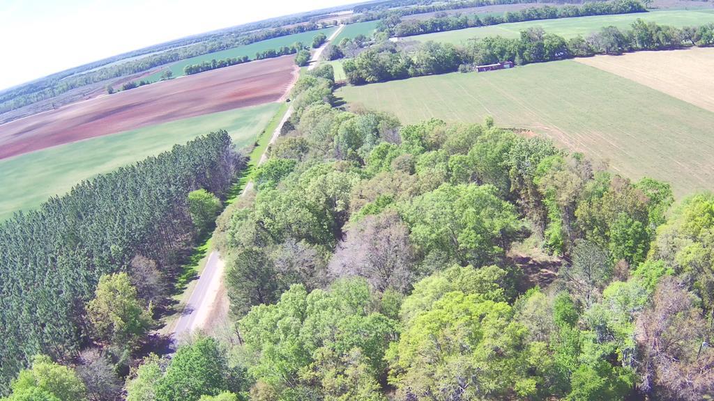 0 Hickory Grove Road Cottonwood, AL 36320 - Photo 2 of 4
