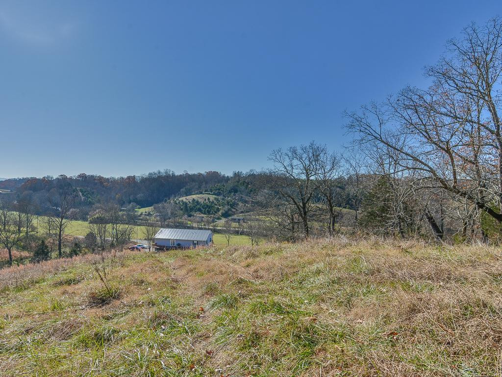 2010 Roaring Fork Road Greeneville, TN 37745 - Photo 34 of 36 Photo 34