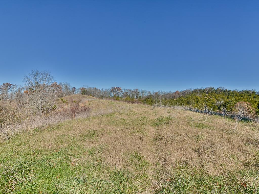 2010 Roaring Fork Road Greeneville, TN 37745 - Photo 35 of 36 Photo 35