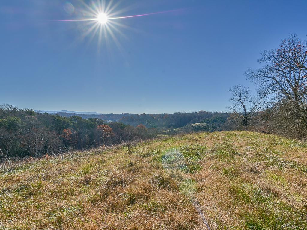 2010 Roaring Fork Road Greeneville, TN 37745 - Photo 36 of 36 Photo 36