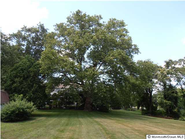 11 Holland Road Middletown, NJ 07748 - Photo 11 of 24 Additional Photo