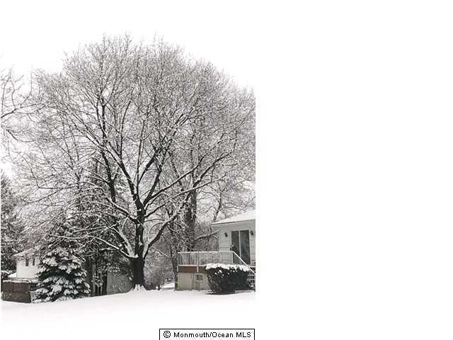 11 Holland Road Middletown, NJ 07748 - Photo 13 of 24 Additional Photo