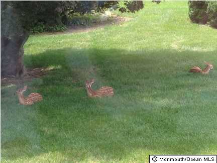11 Holland Road Middletown, NJ 07748 - Photo 23 of 24 Additional Photo