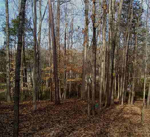 113 Ashley Road, Unit WALKING DISTANCE TO CLEMS Clemson, SC 29631 - Photo 25 of 25 Gallery Image 25
