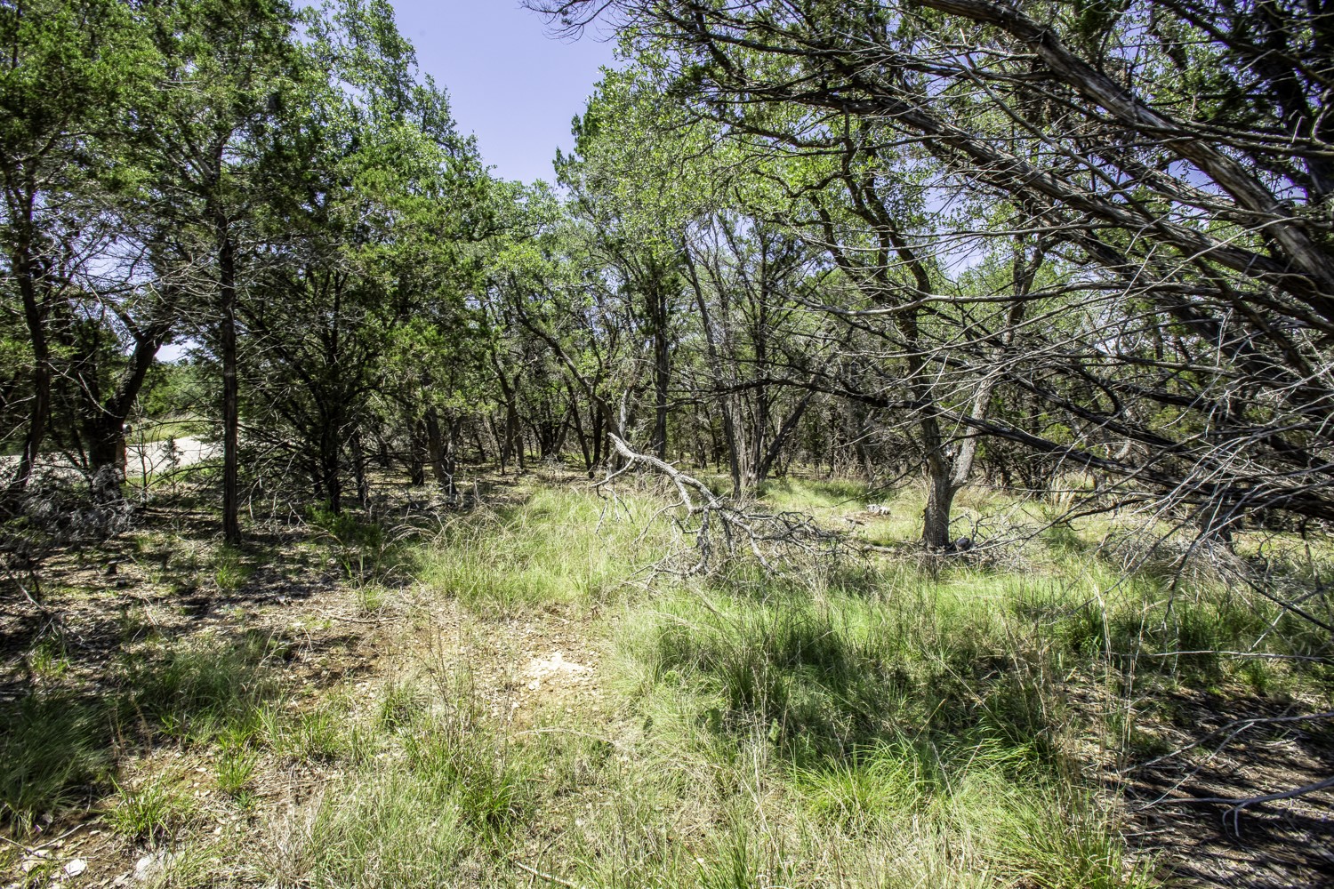 41 Persimmon Drive Wimberley, TX 78676 - Photo 7 of 13 Gallery Image 7