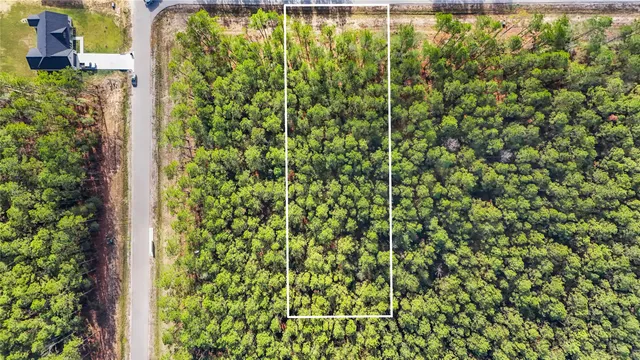 a view of a park with large trees