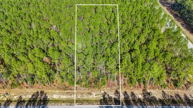 a view of a swimming pool with some potted plants