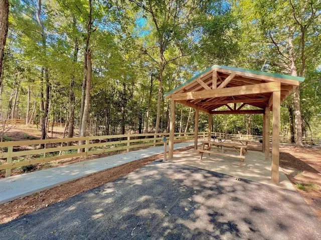 a view of a swimming pool with a yard and plants