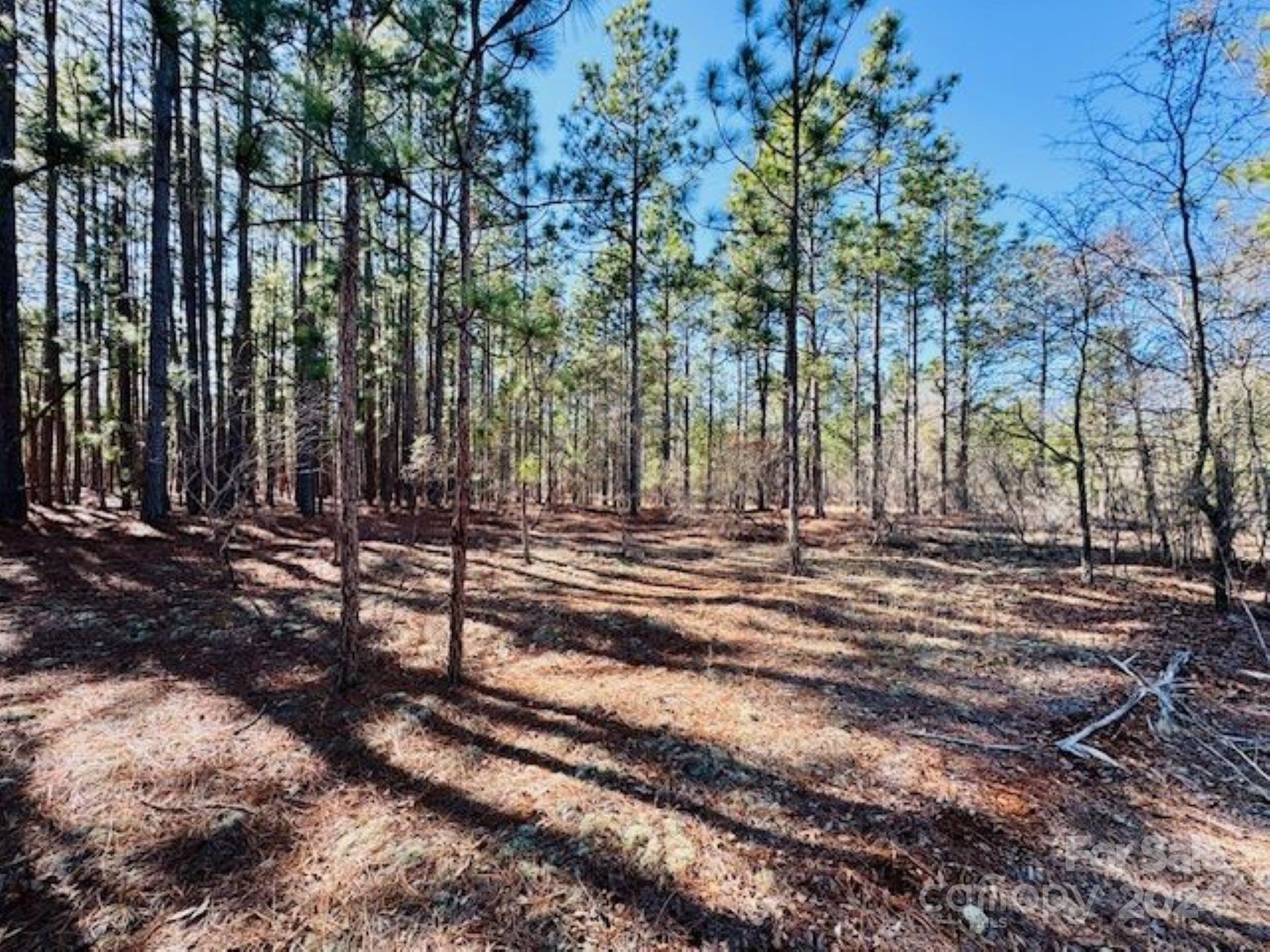 0 State Line Road Bennettsville, SC 29512 - Photo 4 of 12 a view of park space