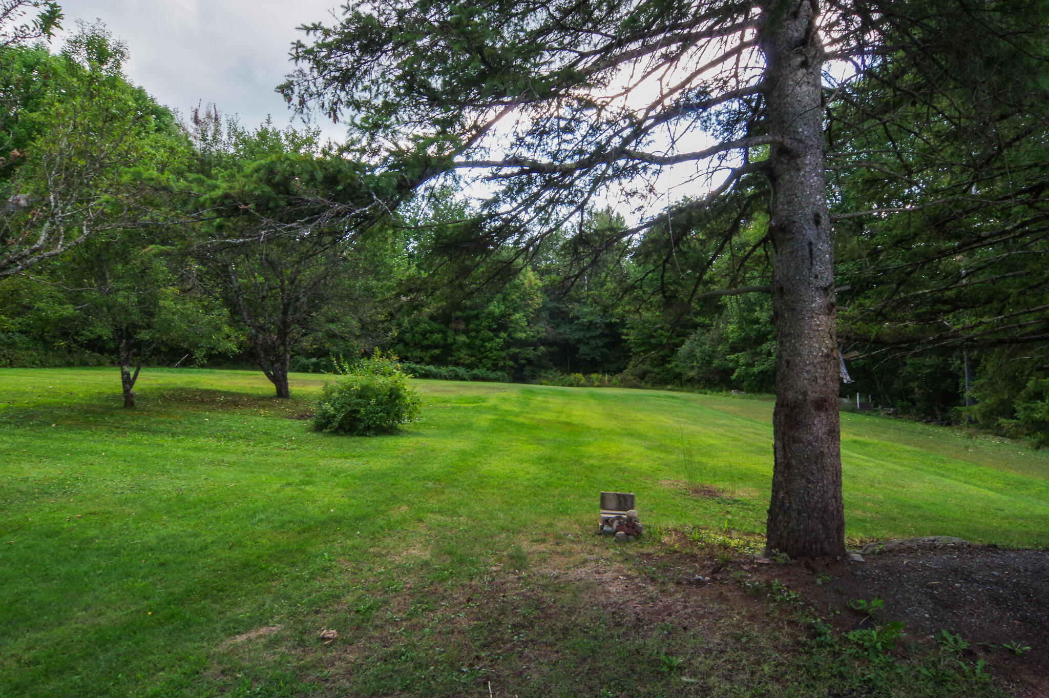 87 North North Dexter Road Sangerville, ME 04479 - Photo 35 of 56 IMGP9312