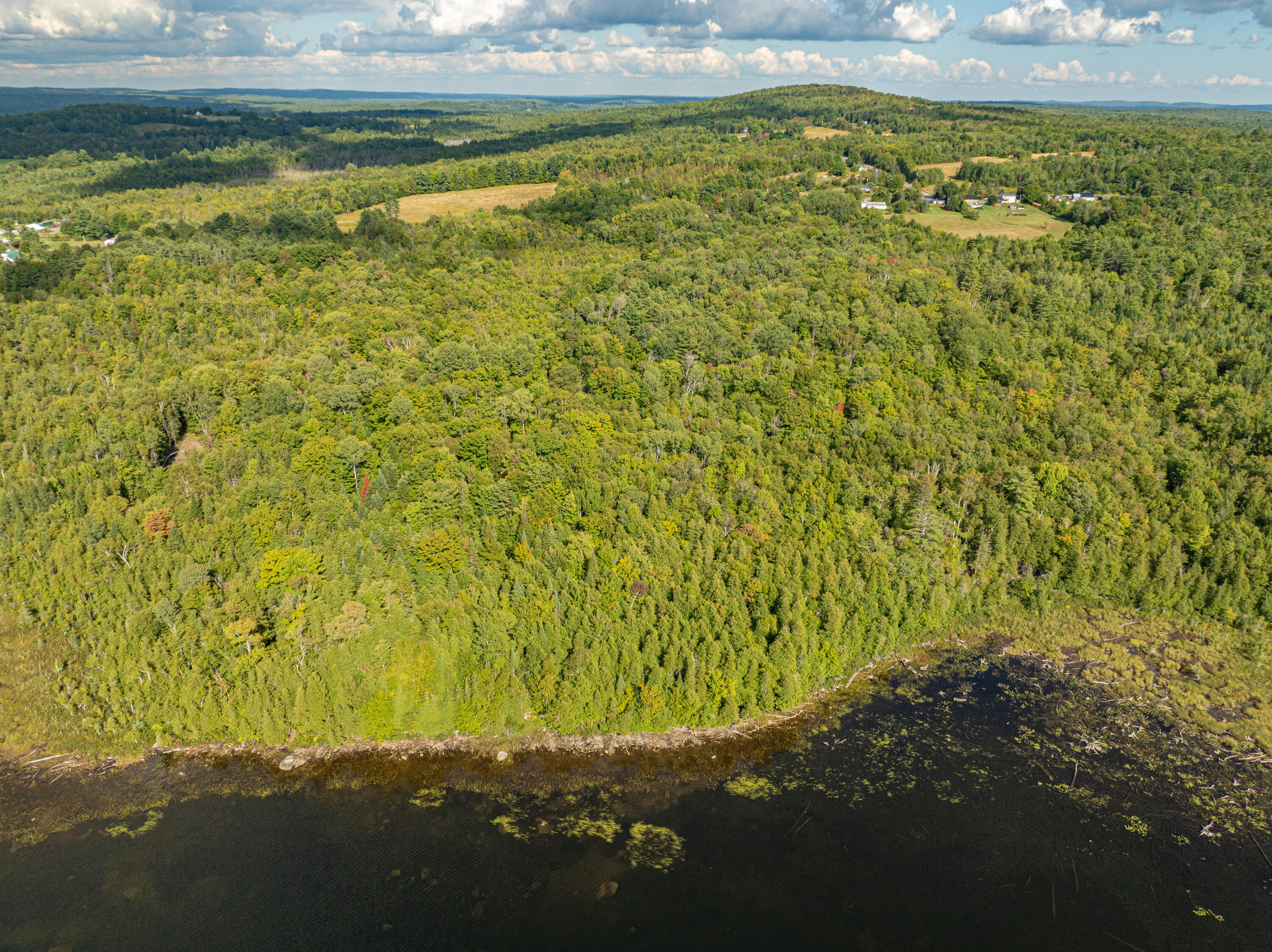 87 North North Dexter Road Sangerville, ME 04479 - Photo 39 of 56 87 N Dexter Red 002