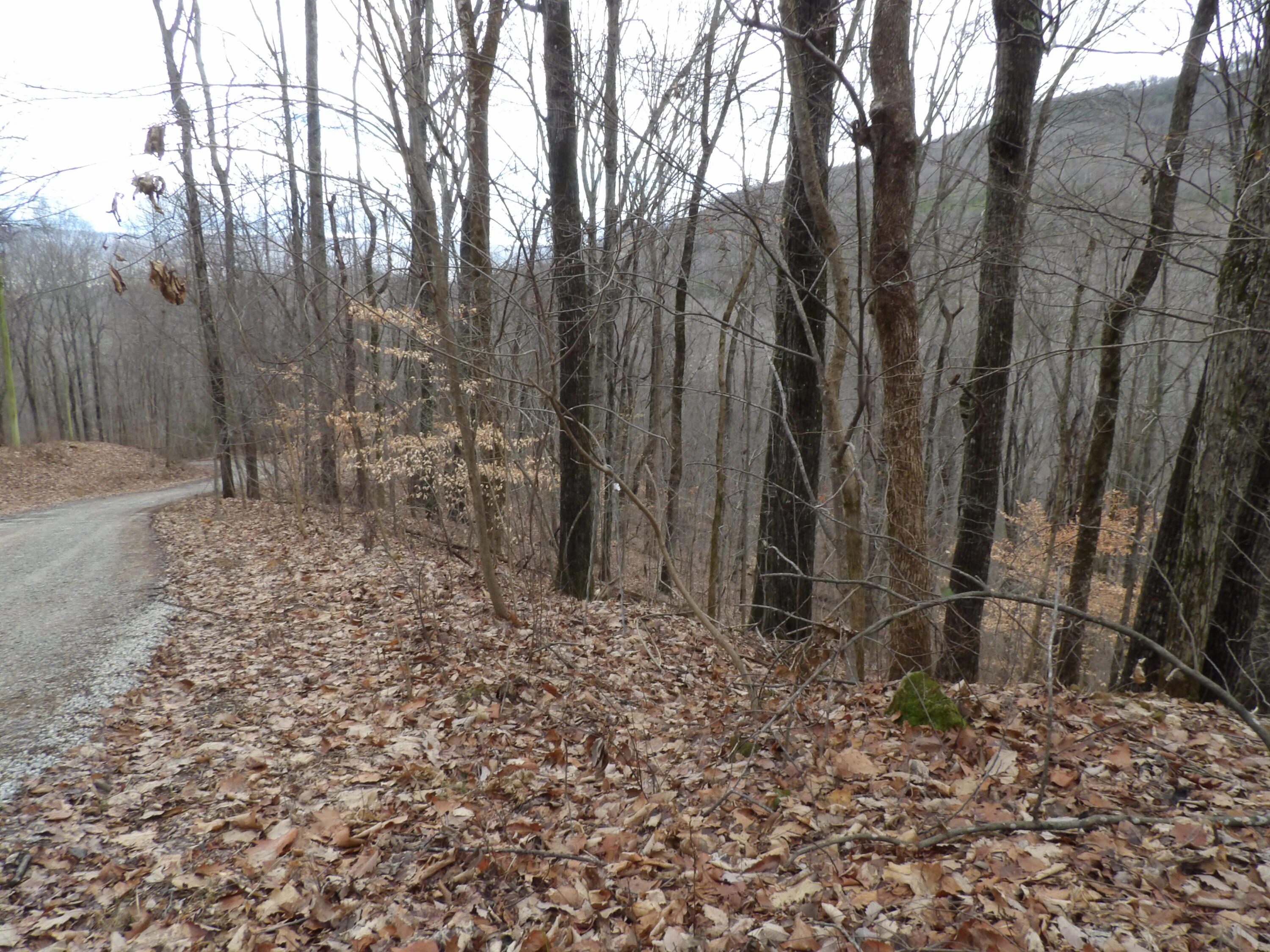 27 Cherokee Ridge Road, Unit 27 Pikeville, TN 37367 - Photo 1 of 10 100_5124