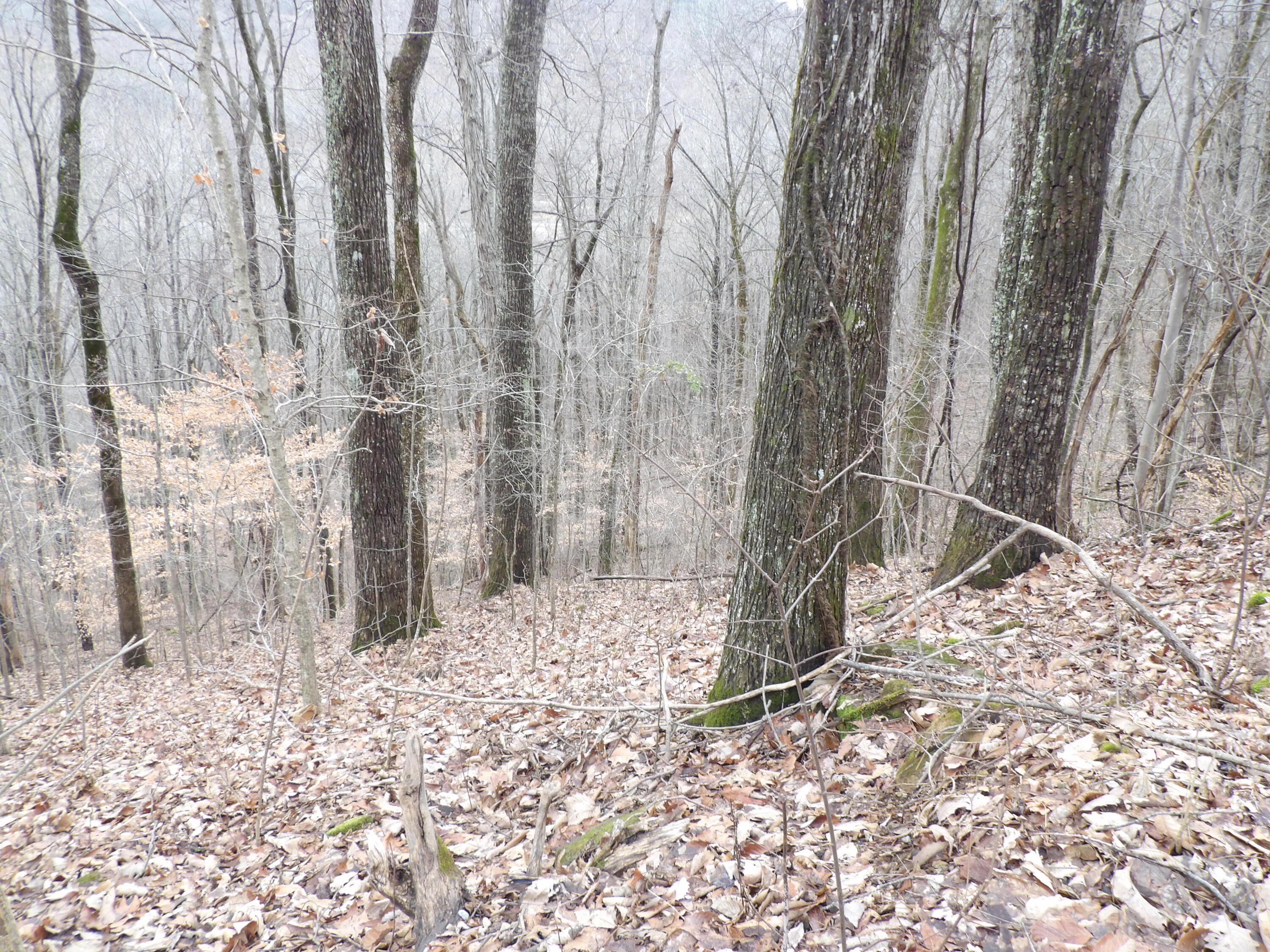 27 Cherokee Ridge Road, Unit 27 Pikeville, TN 37367 - Photo 2 of 10 100_5119
