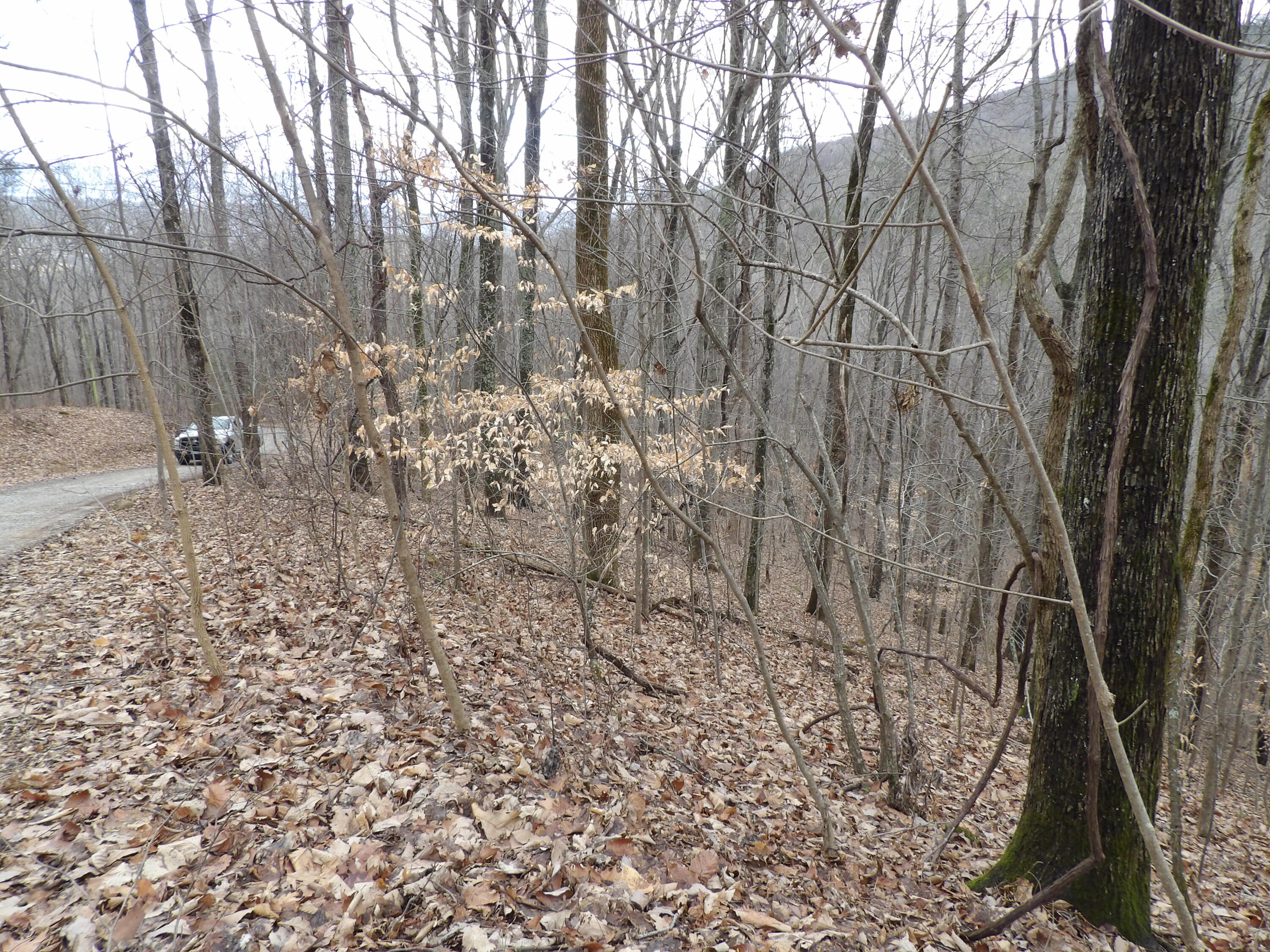 27 Cherokee Ridge Road, Unit 27 Pikeville, TN 37367 - Photo 3 of 10 100_5120