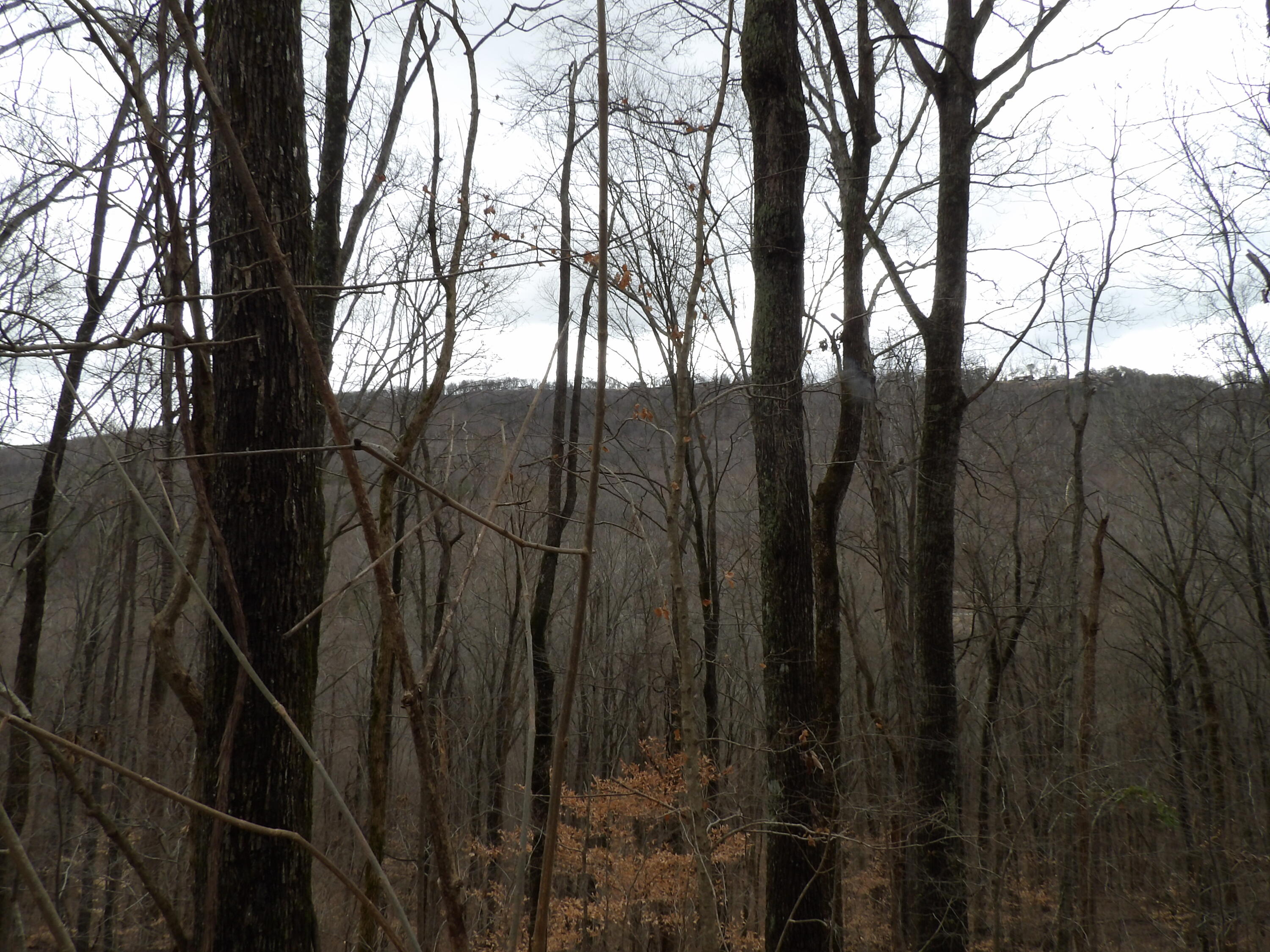 27 Cherokee Ridge Road, Unit 27 Pikeville, TN 37367 - Photo 4 of 10 100_5121