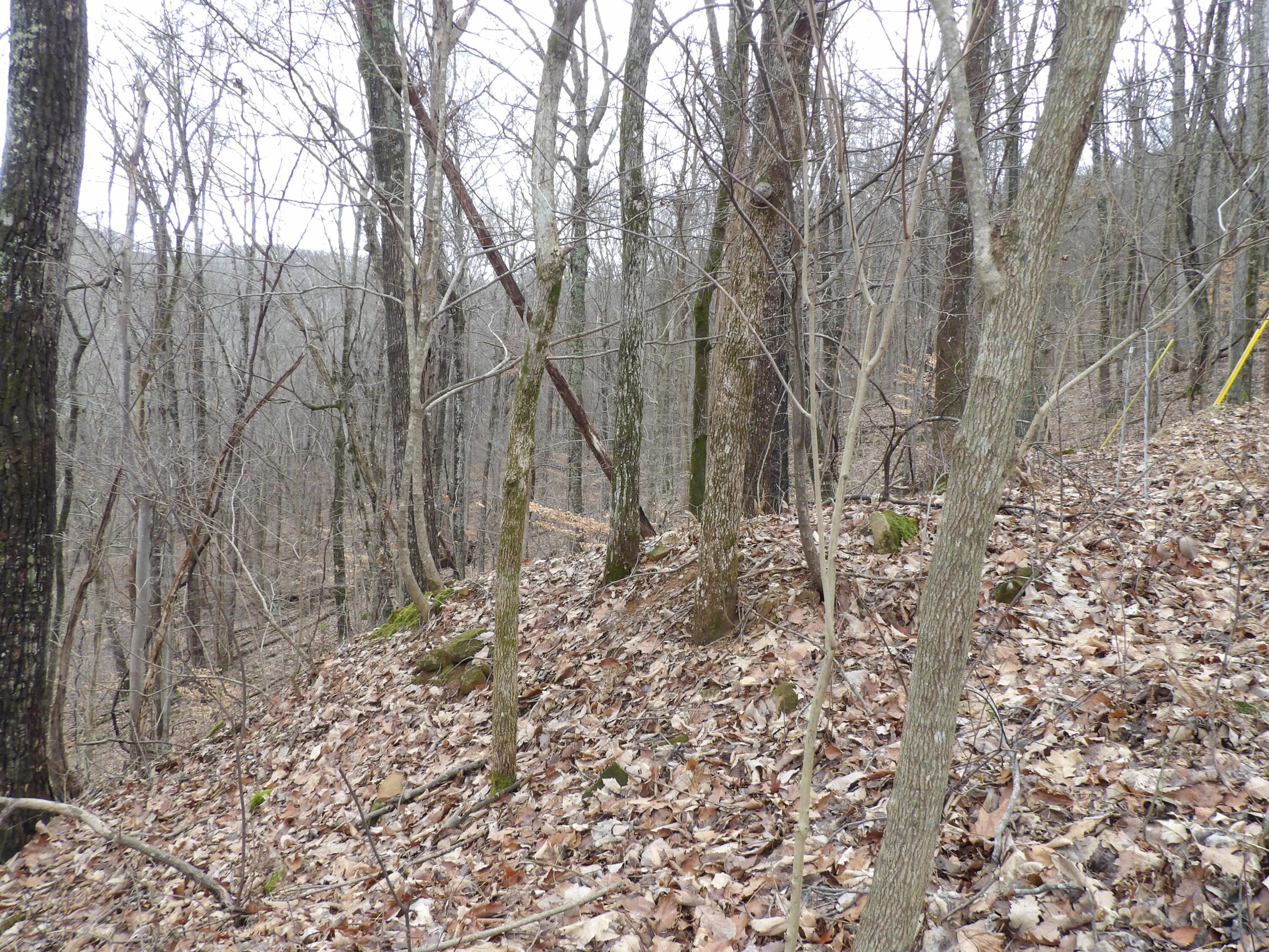27 Cherokee Ridge Road, Unit 27 Pikeville, TN 37367 - Photo 6 of 10 100_5123