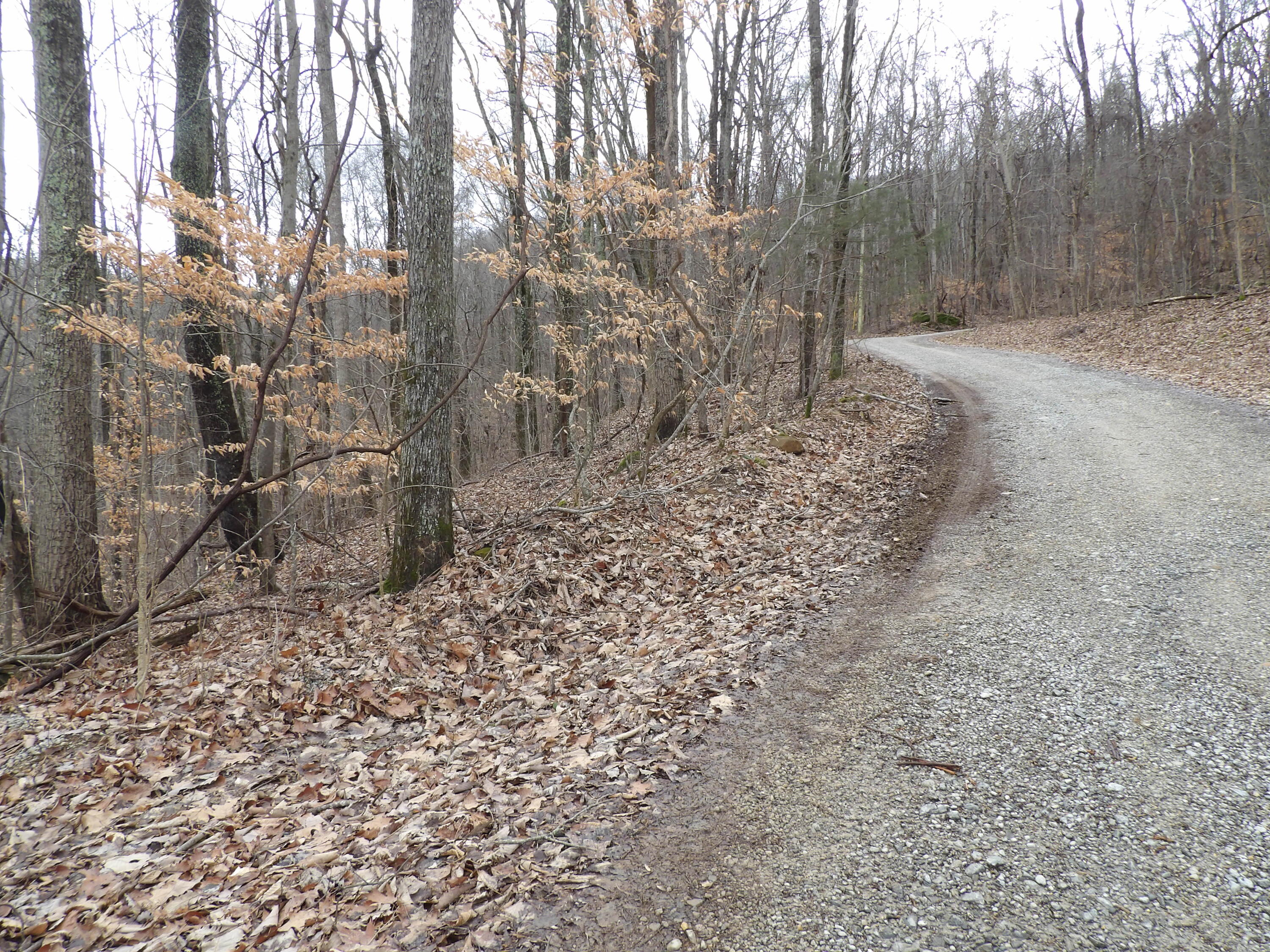 27 Cherokee Ridge Road, Unit 27 Pikeville, TN 37367 - Photo 7 of 10 100_5118