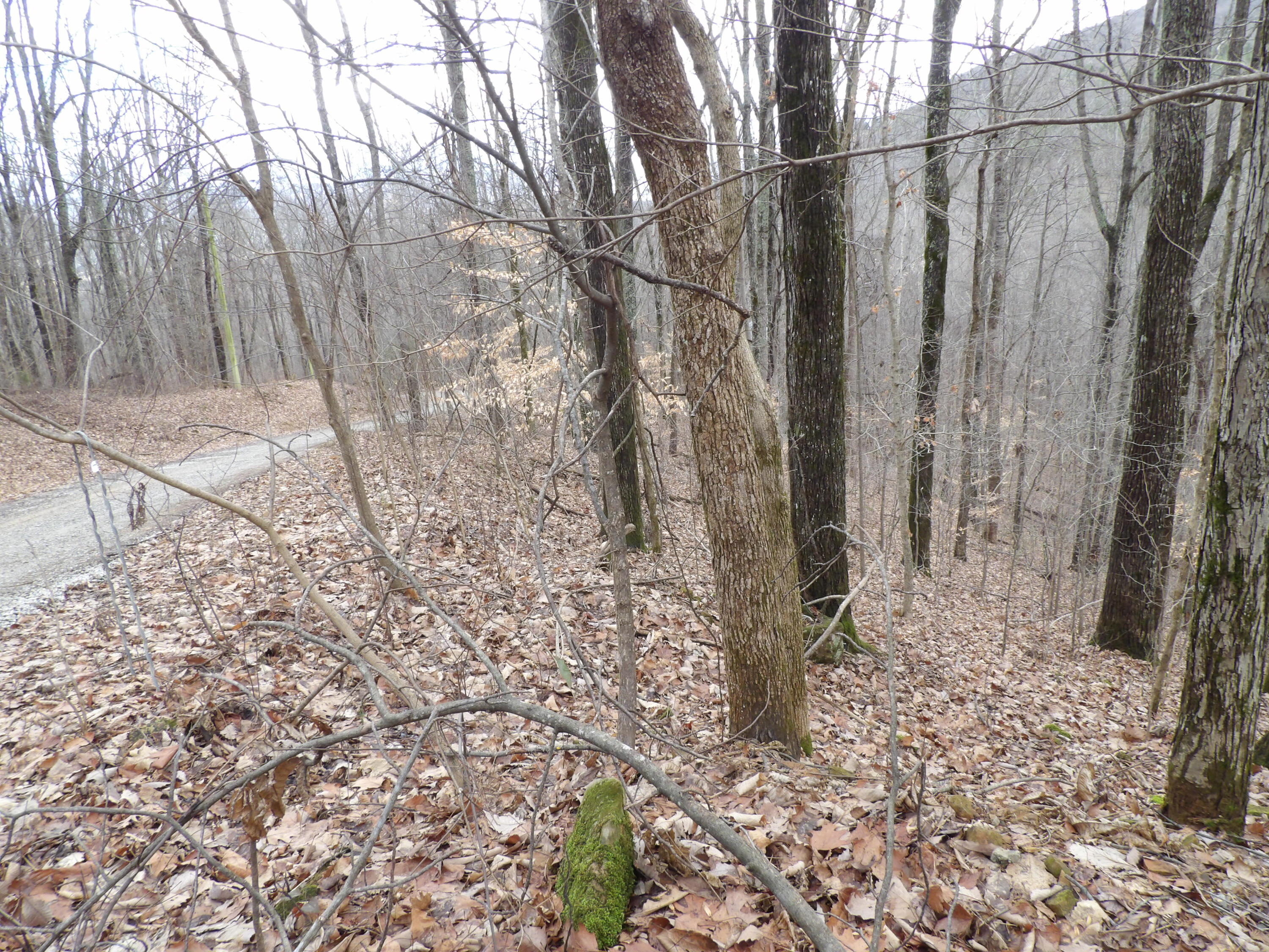 27 Cherokee Ridge Road, Unit 27 Pikeville, TN 37367 - Photo 9 of 10 100_5126