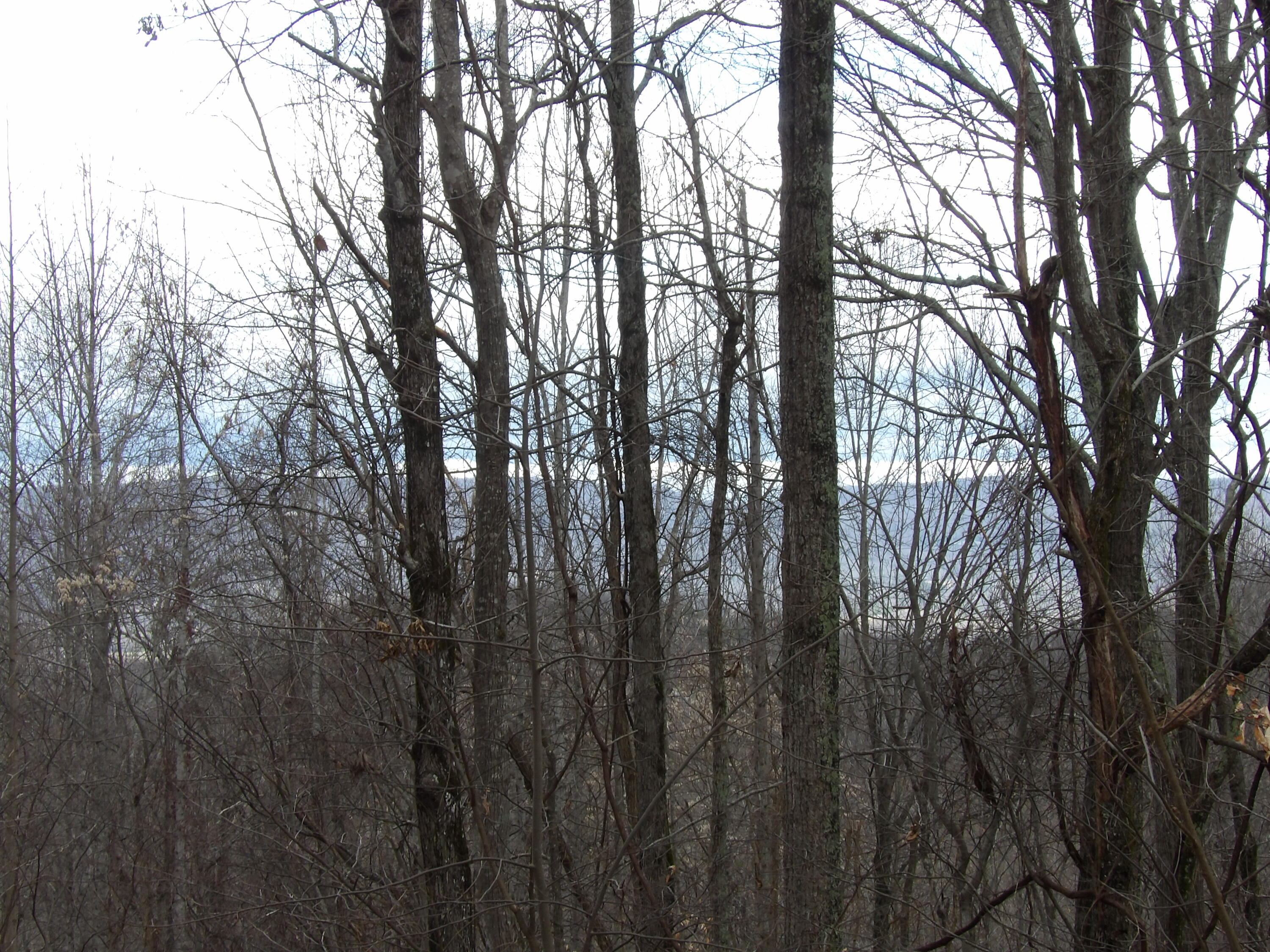 27 Cherokee Ridge Road, Unit 27 Pikeville, TN 37367 - Photo 10 of 10 100_5127