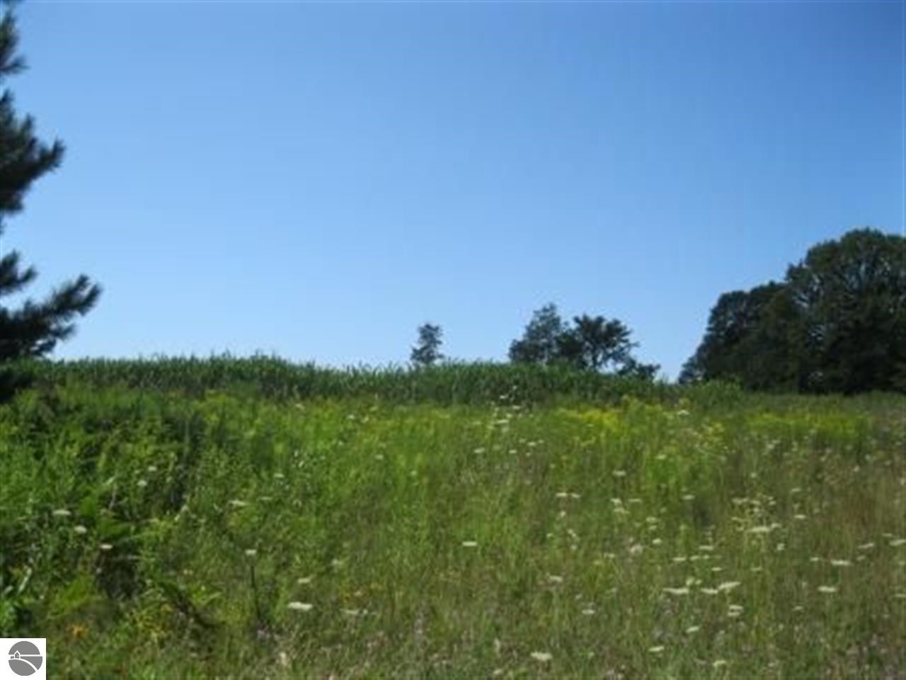 1405 Mosher Road Bellaire, MI 49615 - Photo 9 of 10 1776980-8.JPG