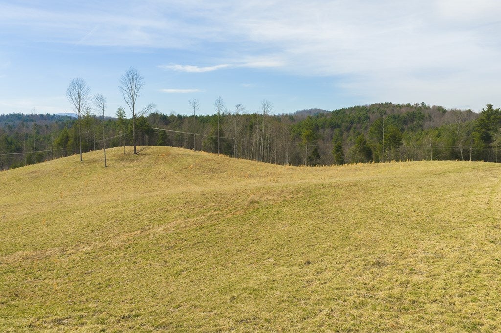 Tbd Carsonville Road Independence, VA 24348 - Photo 4 of 43 Gallery Image 4