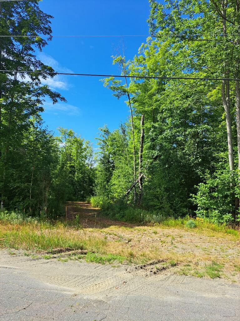 0 Sawyers Mills Road Starks, ME 04911 - Photo 3 of 14 Road to Lemon Stream