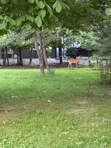 $249,900 | 33 Center Street, Machias, ME 04654