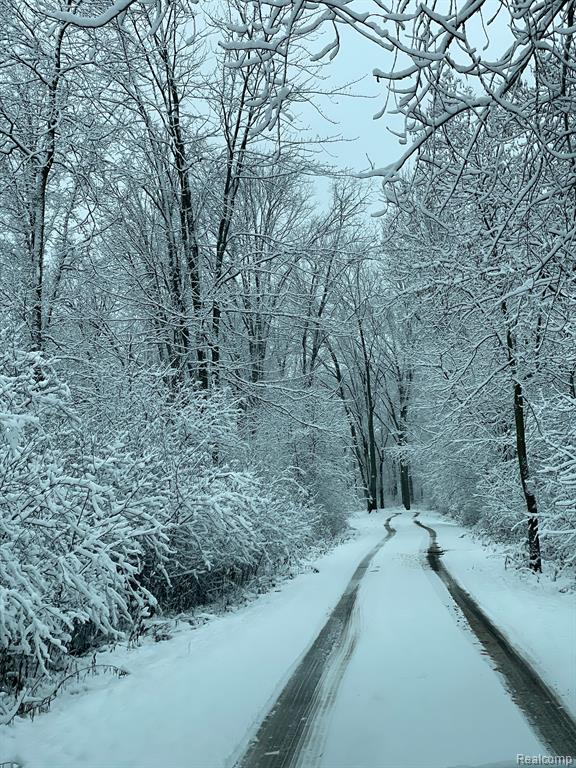 5375 Oleksyn Road Flint, MI 48504 - Photo 4 of 39