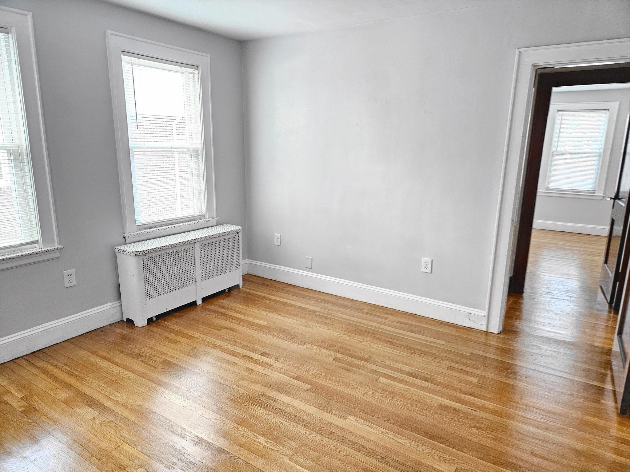 12 Hatherly Road, Unit 1 Boston, MA 02135 - Photo 15 of 19 Gallery Image 15