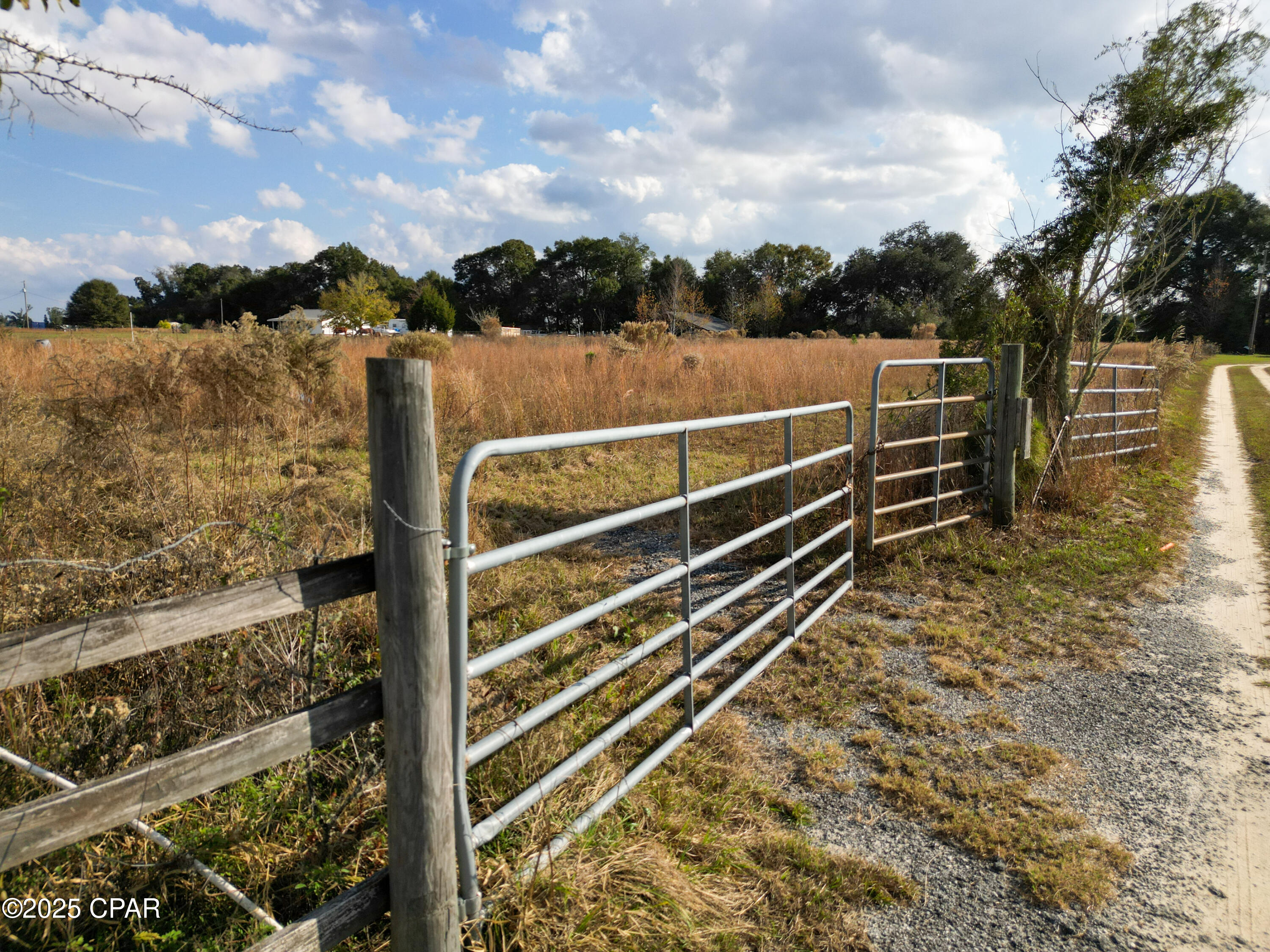 0 Welcome Church Road Sneads, FL 32460 - Photo 11 of 14