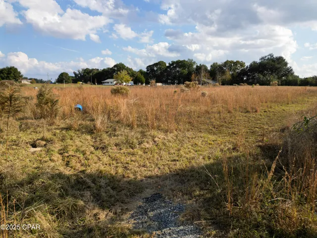 $28,900 | 0 Welcome Church Road, Sneads, FL 32460